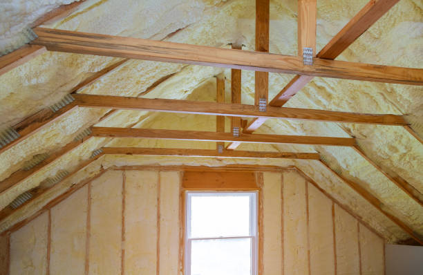 Best Cellulose Insulation  in Clear Lake, WA