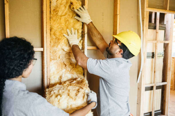 Best Insulation Repair Services  in Clear Lake, WA
