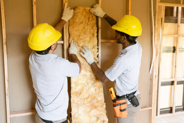 Best Professional Insulation Contractor  in Clear Lake, WA