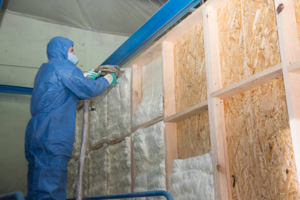Best Insulation Inspection Services  in Clear Lake, WA
